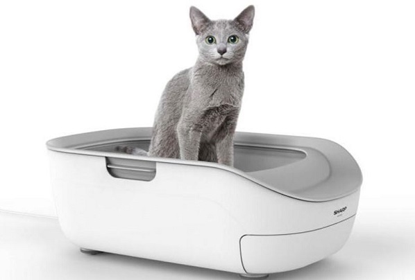 샤프의 '스마트 고양이 화장실(smart cat toilet)'(사진=샤프 홈페이지)