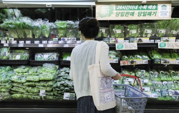 서울 시내 한 대형마트에서 소비자가 채소를 살펴보고 있다. (사진=뉴시스)